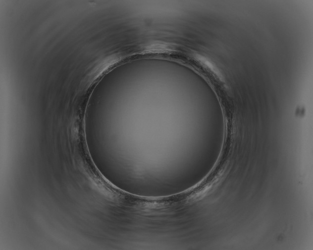 X0000091541401200708241723