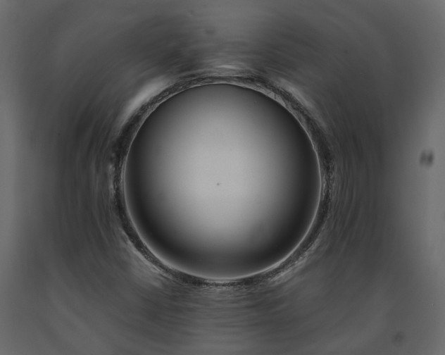 X0000091541402200708241723