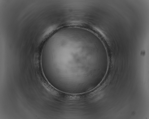 X0000091541403200708241723