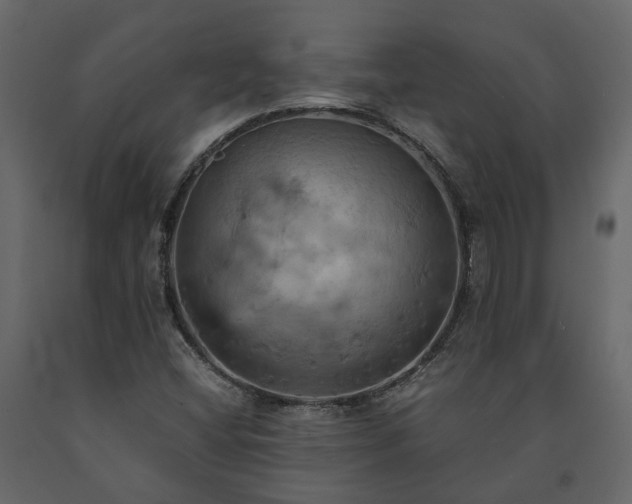 X0000091541404200708241723