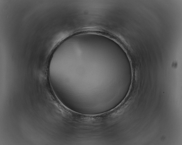 X0000091541405200708241723