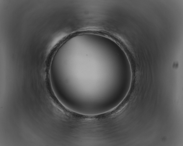 X0000091541406200708241723