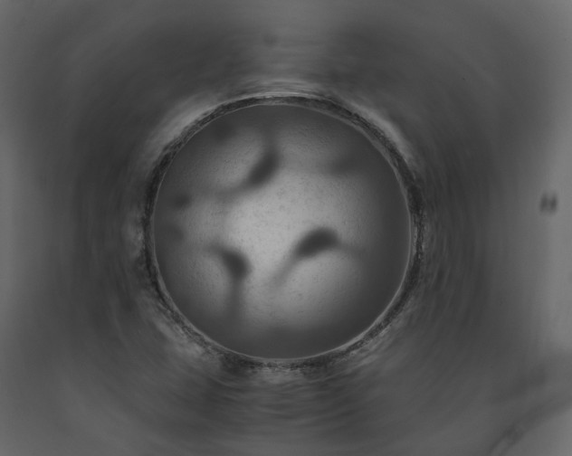 X0000091541407200708241723