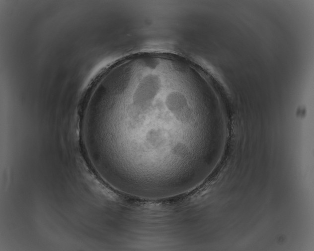 X0000091541408200708241723