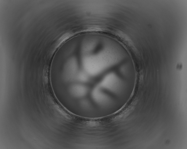 X0000091541409200708241723