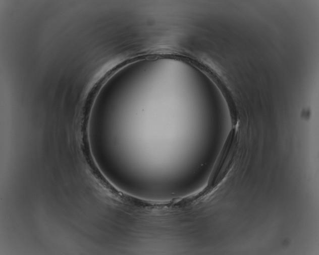 X0000091541410200708241723