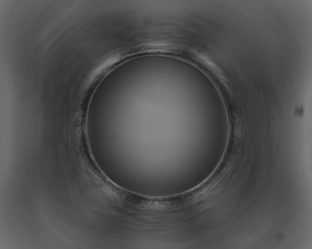 X0000091541411200708241723