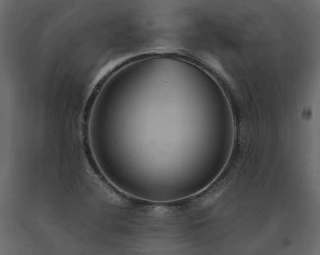 X0000091541412200708241723