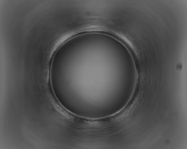 X0000091541413200708241723