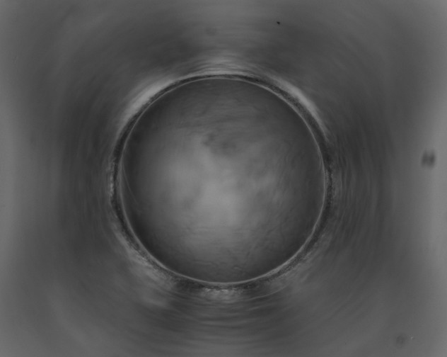 X0000091541415200708241723