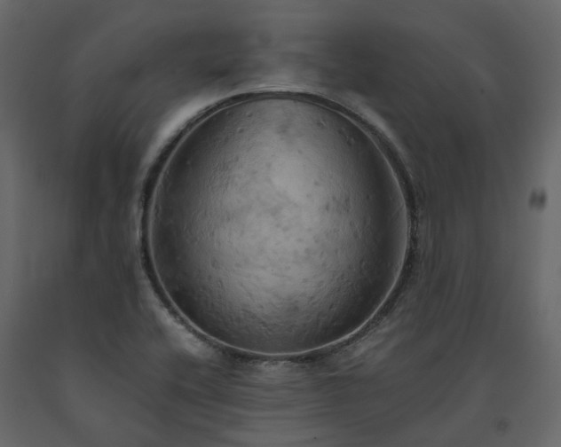 X0000091541416200708241723