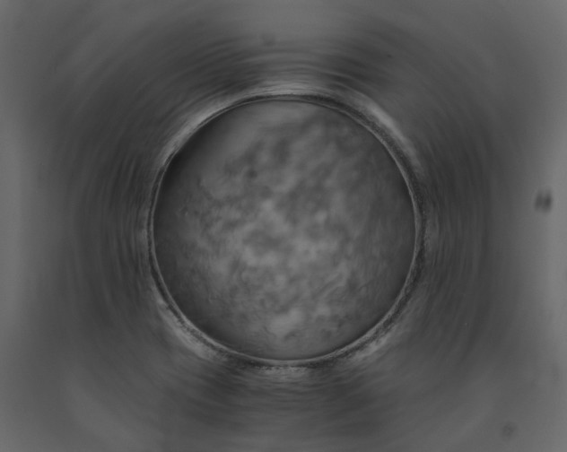 X0000091541417200708241723
