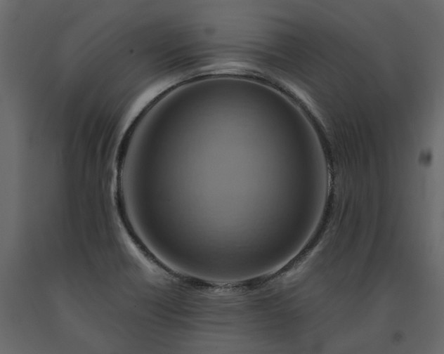 X0000091541418200708241723