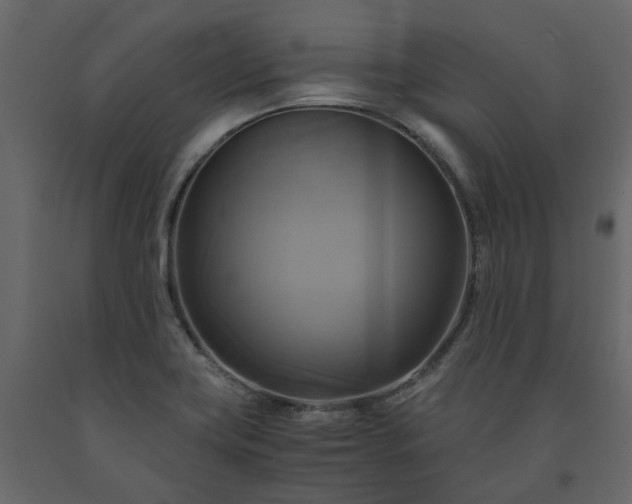X0000091541419200708241723