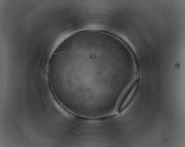 X0000091541421200708241723