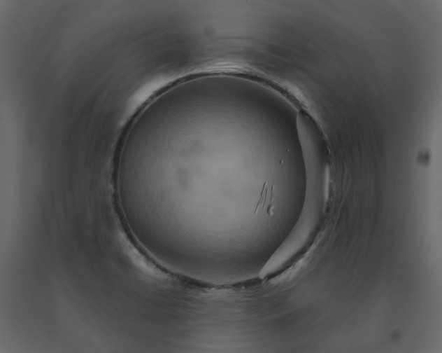 X0000091541422200708241723