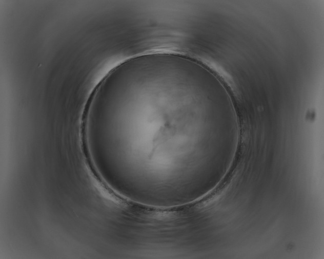 X0000091541423200708241723