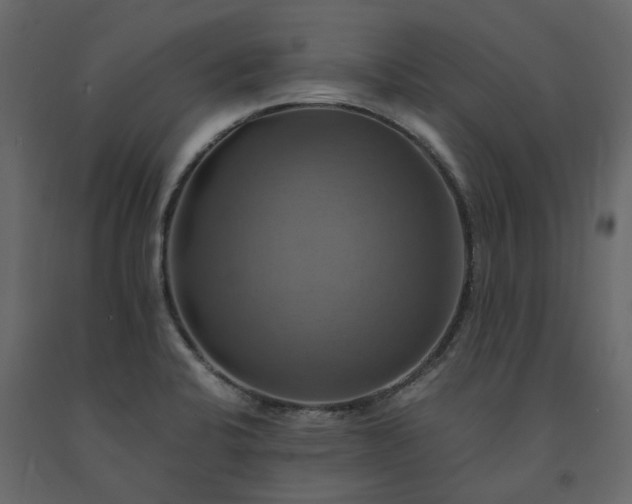 X0000091541424200708241723