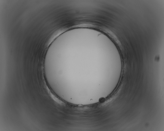 X0000091541425200708241724
