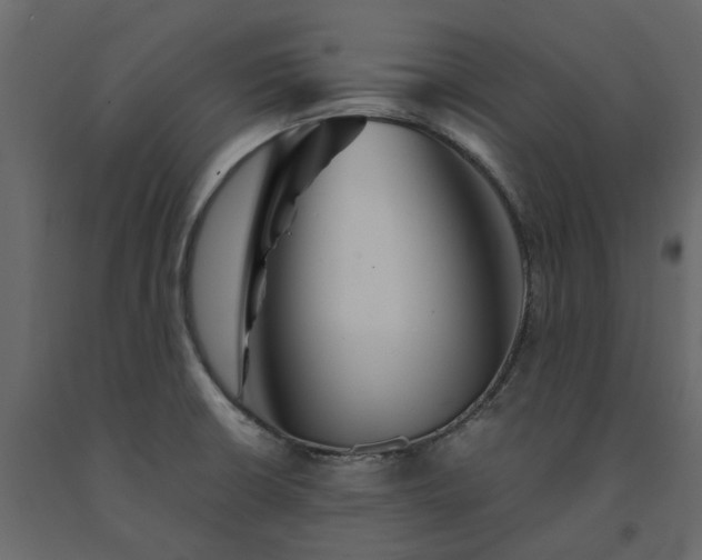 X0000091541426200708241724