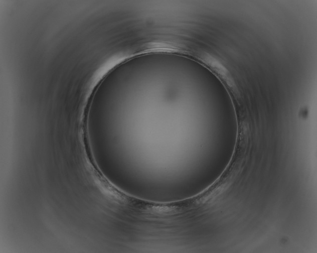 X0000091541427200708241724