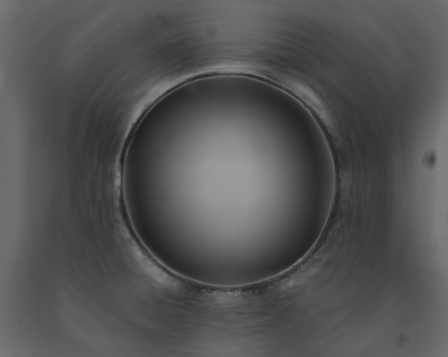 X0000091541428200708241724