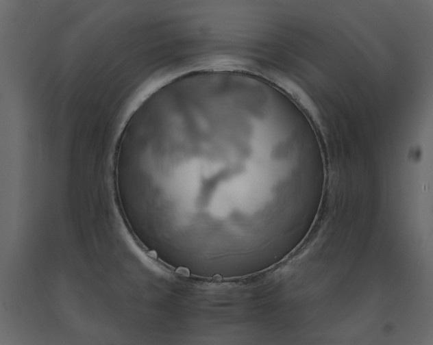 X0000091541429200708241724