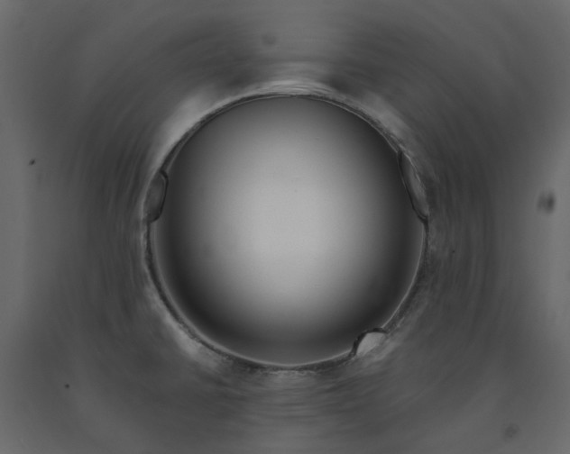 X0000091541430200708241724