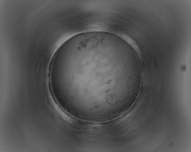 X0000091541431200708241724