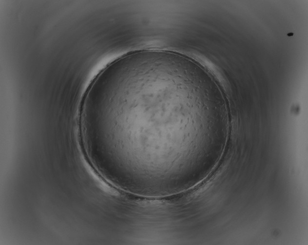 X0000091541432200708241724
