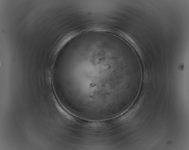 X0000091541433200708241724