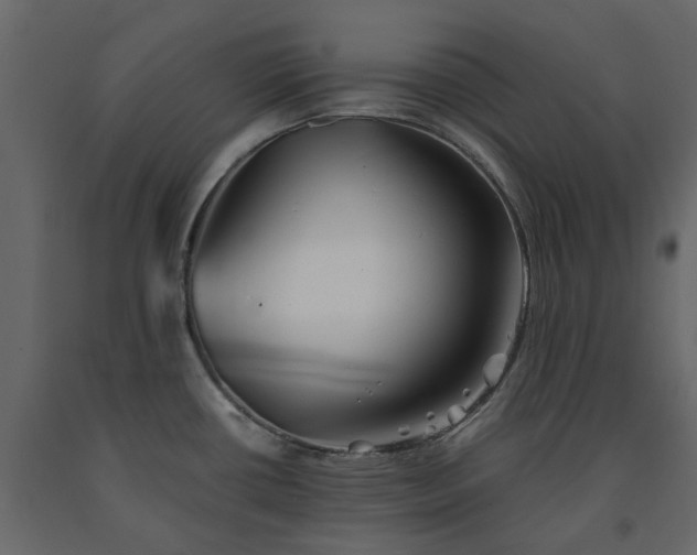 X0000091541434200708241724