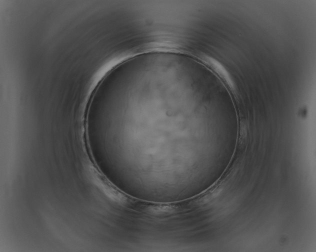 X0000091541435200708241724