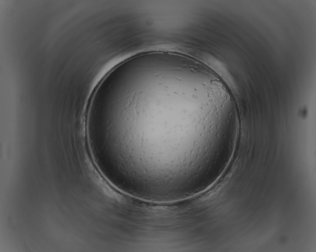 X0000091541436200708241724