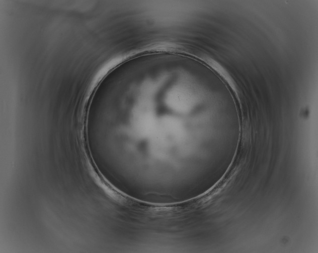X0000091541437200708241724