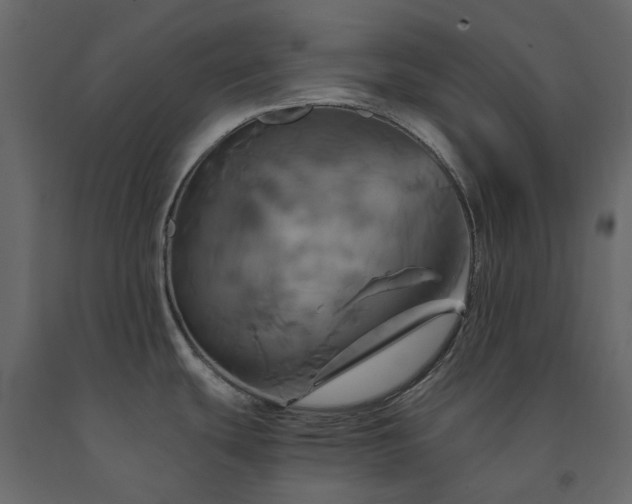 X0000091541439200708241724