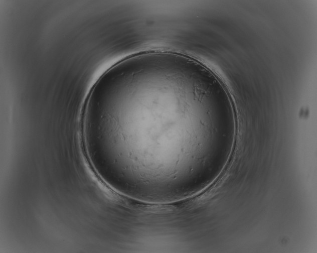 X0000091541440200708241724