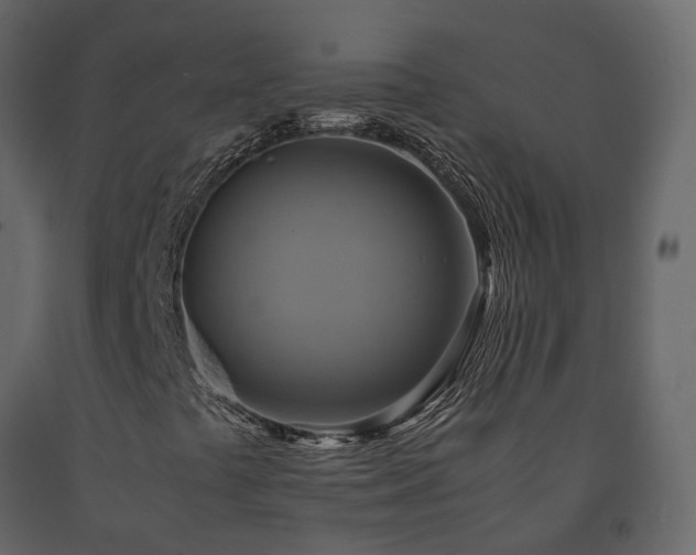 X0000091541441200708241723