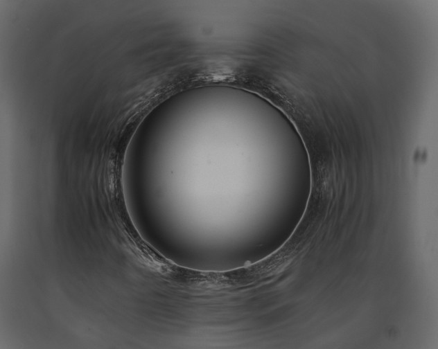 X0000091541442200708241723