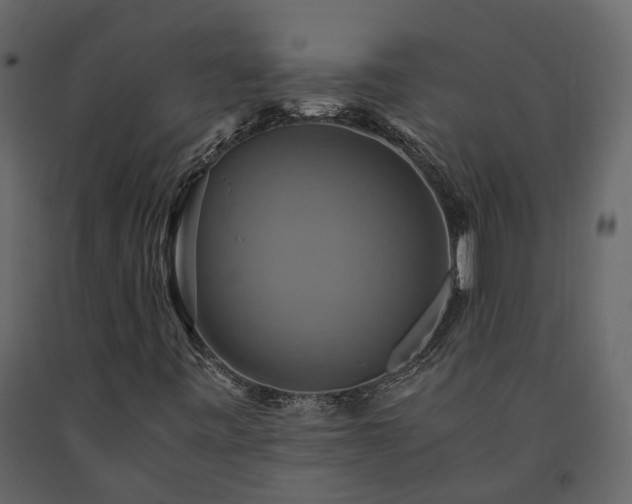 X0000091541443200708241723