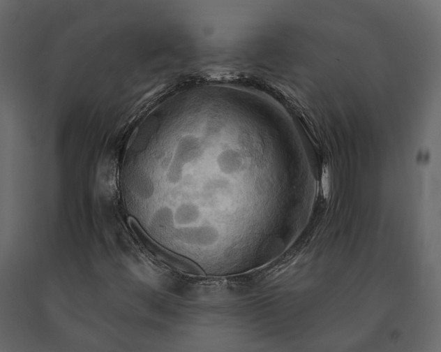 X0000091541444200708241723