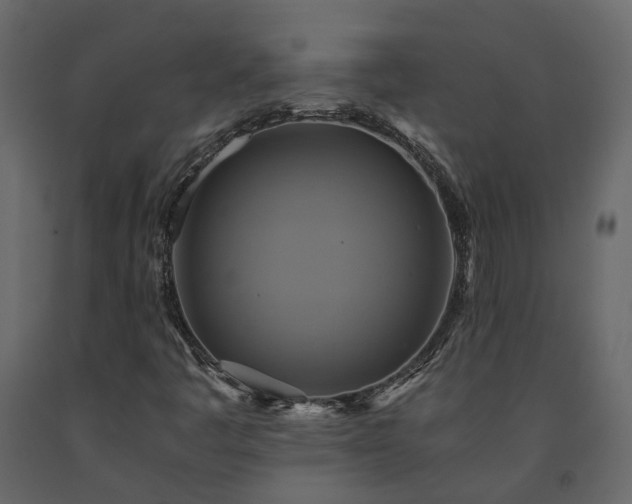 X0000091541445200708241723