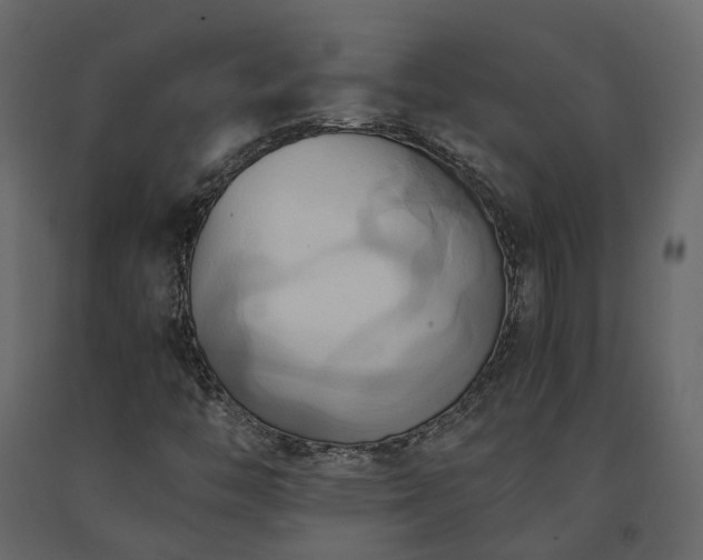 X0000091541446200708241723
