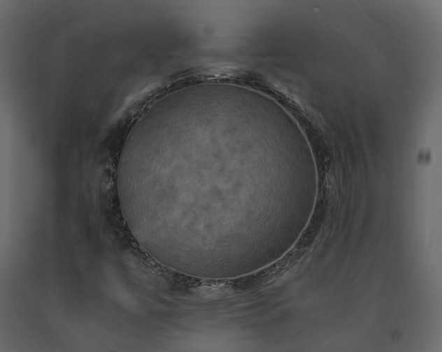 X0000091541447200708241723