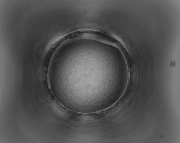 X0000091541448200708241723