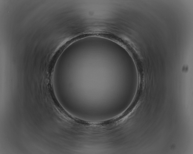 X0000091541449200708241723