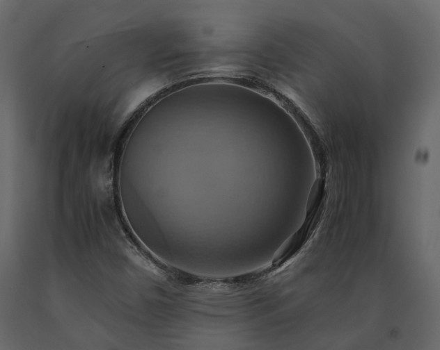 X0000091541450200708241723