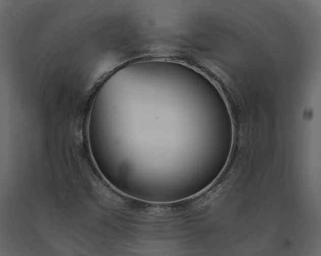 X0000091541451200708241723