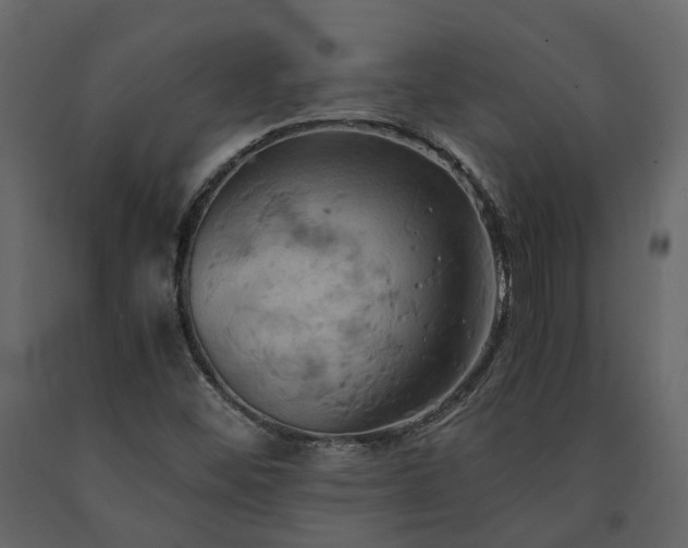 X0000091541452200708241723