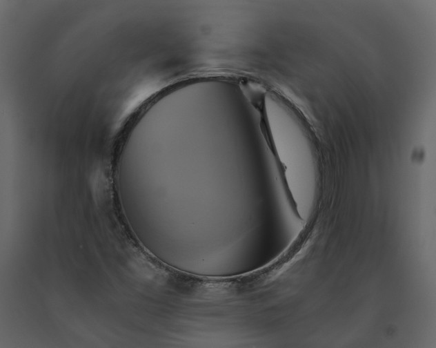 X0000091541453200708241723
